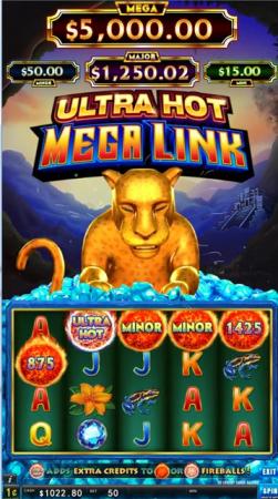 mega_link_5in_1_bonus_game_047__1661731150_397